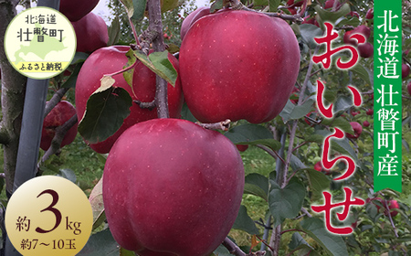 先行予約】北海道壮瞥町産りんご「おいらせ」約3kg(7～10玉)＜2026年11