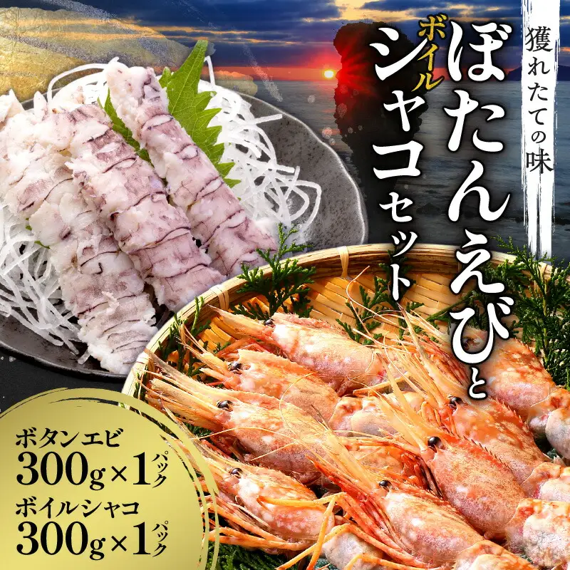 北海道余市産 ボタンエビ 300g＋ボイルシャコ300g 冷凍 えび_Y022-0027