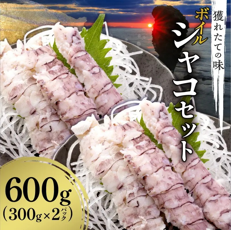 北海道余市産 ボイルシャコ 300g×2パック 計600g 冷凍 蝦蛄 シャコ_Y022-0022