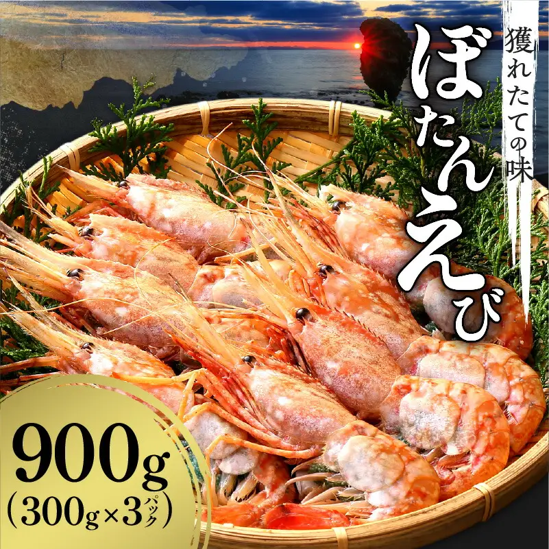 北海道余市産 ボタンエビ 900g 冷凍 ぼたんえび_Y022-0026