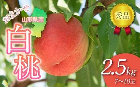 FYN6-226 ≪2026年先行予約≫贈答用 山形県産 おまかせ 白桃 2.5kg(7～10玉) 秀品 2026年8月下旬から順次発送 柔らかくなる桃 夏果実 果実 果物 くだもの フルーツ 桃 もも ピーチ 化粧箱 贈答 ギフト プレゼント 産地直送 山形県 西川町 月山