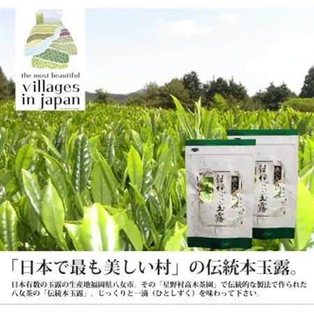 奥八女星野村　伝統本玉露[50g]×2袋_飲料・ドリンク 八女茶 茶 日本茶_【1463200】