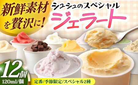 シュシュのシュシュのスペシャルジェラート12個セット（定番/季節限定/スペシャル2種） / アイス あいす アイスクリーム あいすくりーむ ジェラート じぇらーと スイーツ すいーつ / 大村市 / おおむら夢ファームシュシュ[ACAA038]