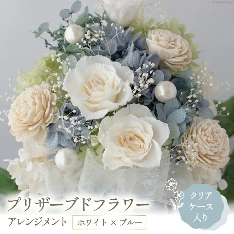 プリザーブドフラワー アレンジメント (L) ホワイト×ブルー 【ケース入り】 [mirccamircca 長野県 池田町 48110590]