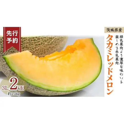 《 先行予約 》 タカミ レッド メロン 3L 2玉 ( 約 2.2kg ) 【 2026年5月下旬発送開始 】