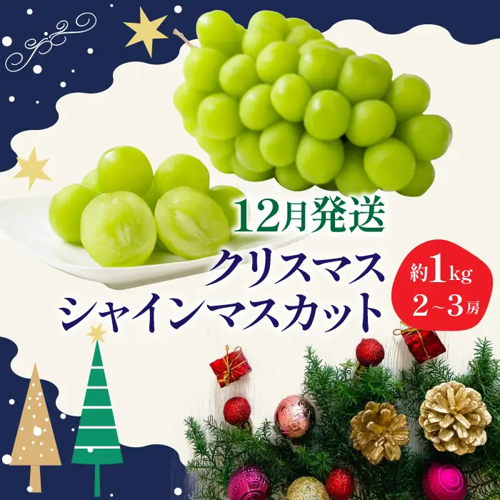 【2026年発送★先行予約】冬季限定！！ 山梨県笛吹市産 クリスマスシャインマスカット 約1.0kg 2～3房 105-020-26y