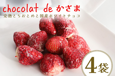 Chocolat de かさま おかしな果実ショコラ 完熟とちおとめの詰め合わせ BH-031