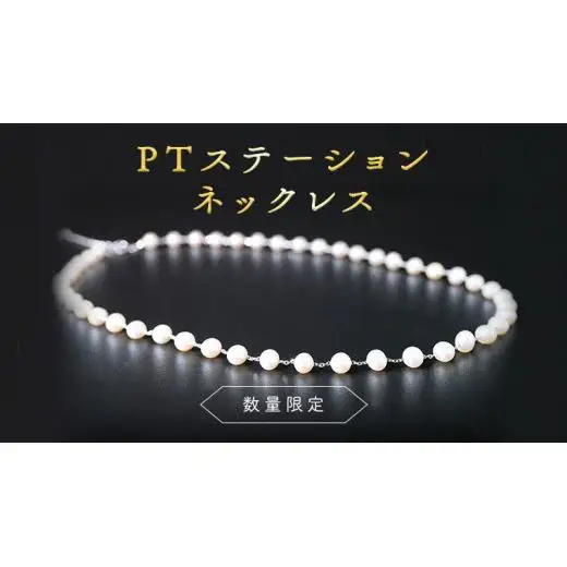 【 数量限定 】PT ステーション ネックレス