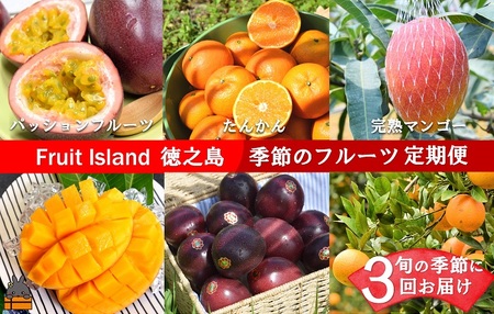 フルーツアイランド徳之島 季節のフルーツ定期便 ( 3回お届け 完熟マンゴー マンゴー パッションフルーツ たんかん 柑橘 果物 徳之島 奄美 鹿児島 定期便 世界自然遺産 旬 )