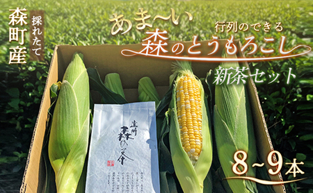 【2026年産】先行予約 とうもろこし 新茶 セット 詰め合わせ しんちゃん農園 甘々娘 甘太郎 甘い 森のとうもろこし 8～9本 緑茶 1パック トウモロコシ 茶 日本茶 静岡茶 煎茶 2026年 静岡 森町