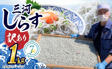 訳あり 小モリ1kg！バラエティ豊富な三河しらす～海の仲間たち～　H018-046