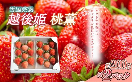 いちご 新潟 雪国完熟越後姫桃薫 約200g×2P食べ比べセット イチゴ 苺 お取り寄せ ギフト 贈り物 上越