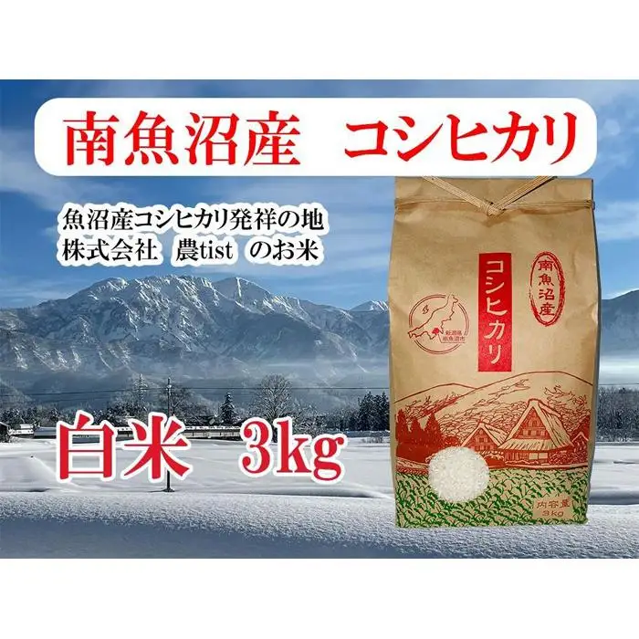 【令和7年産】【南魚沼産】コシヒカリ 白米3kg