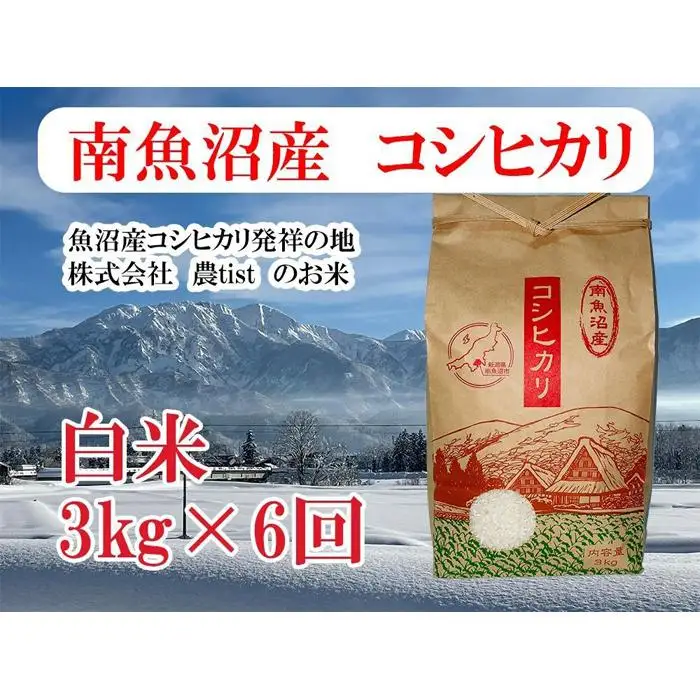 【令和7年産】【定期便 南魚沼産】コシヒカリ 白米3kg×6回【定期便 銘柄米 ブランド米 精米 こしひかり コシヒカリ 魚沼産 新潟米 産地直送 お米 米 こめ コメ ご飯 御飯 ごはん】