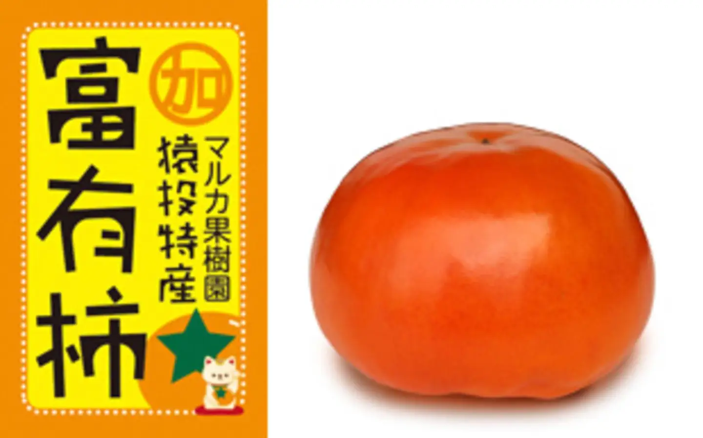 ＜先行受付＞富有柿　約4kg【2026年11月上旬以降順次発送】