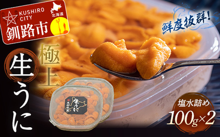 【鮮度抜群！極上生えぞバフンうに】生うに塩水詰め100g×2 ふるさと納税 うに F4F-3212