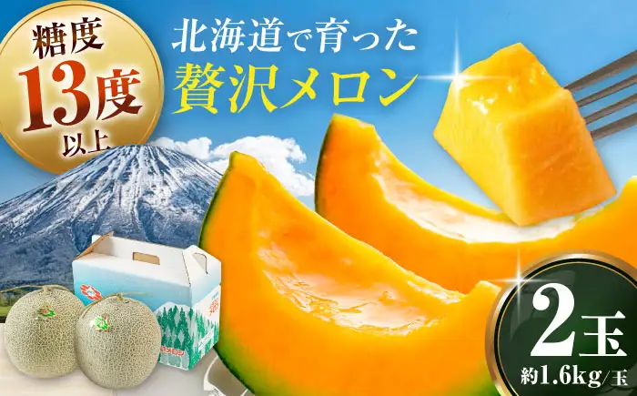 【先行予約】メロン 赤肉2玉 [AJAK004] メロン 果物 フルーツ 夏 北海道