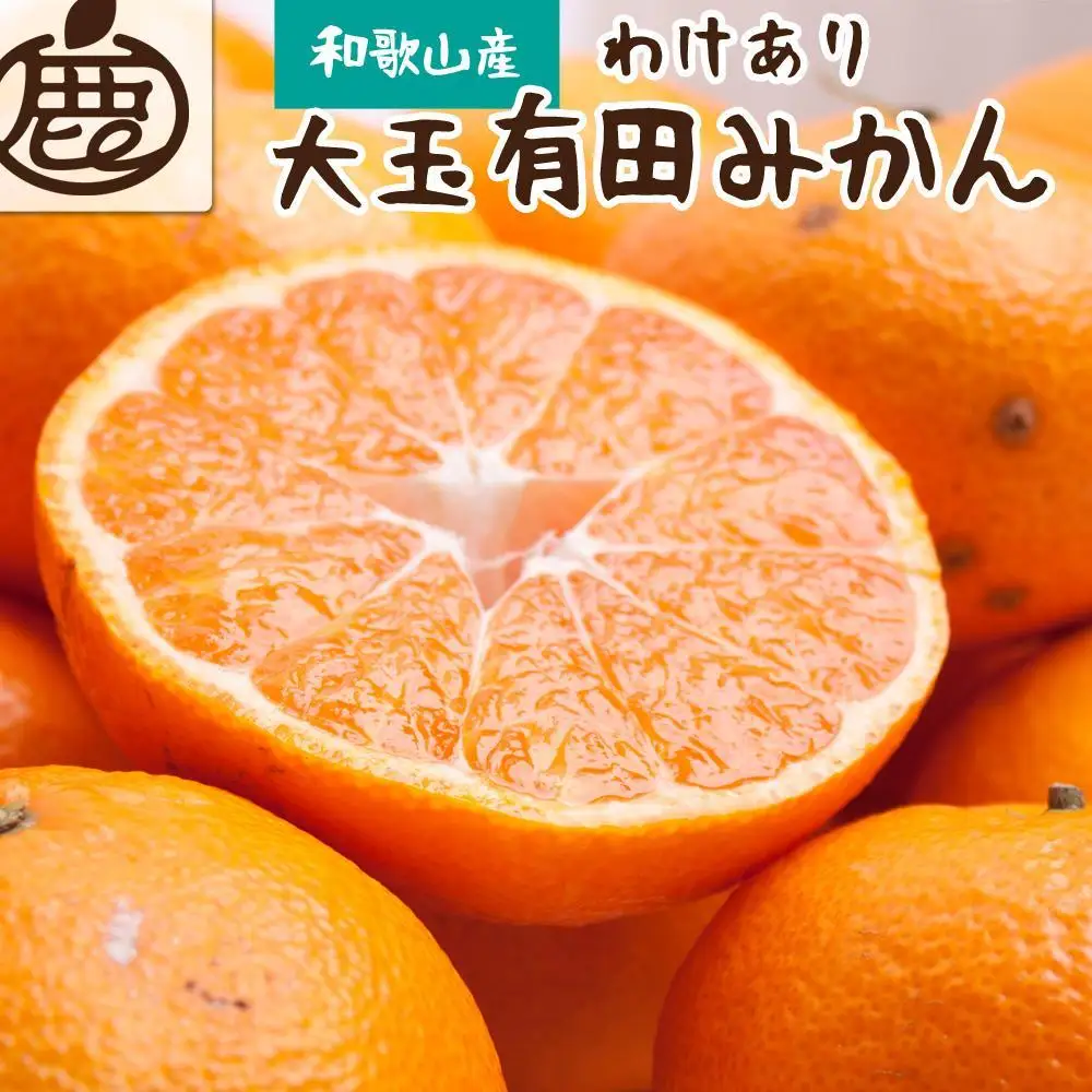 ［先行予約］家庭用 有田みかん（大玉）10kg+250g（傷み補償分）