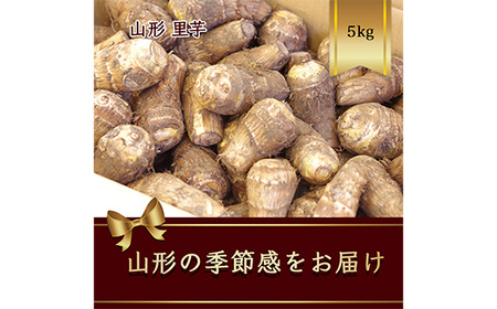 《2026年 先行予約》 山形県産 里芋 5kg【2026年9月から発送】 根菜 野菜 食品 山形県 FSY-2627