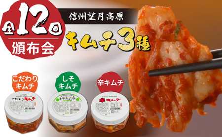 信州望月高原のキムチ３種頒布会（１２回コース）国産キムチ 白菜キムチ 発酵食品 漬物 信州キムチ 定期便 自家製キムチ 国産キムチ