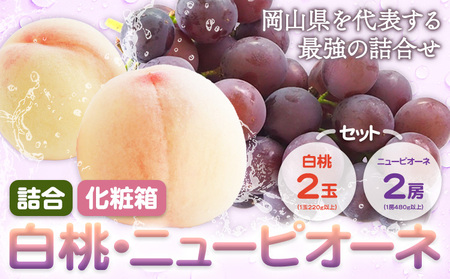 白桃 2玉・ニューピオーネ 2房 化粧箱入り 株式会社山博(中本青果)【配送不可地域あり】