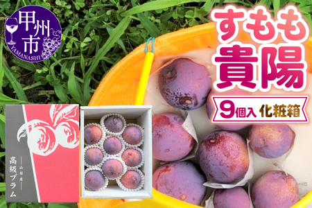 童夢のすもも「貴陽」化粧箱（9玉入り）約1.35kg～約1.7kg【2026年発送】（DOM）B-143 すもも フルーツ