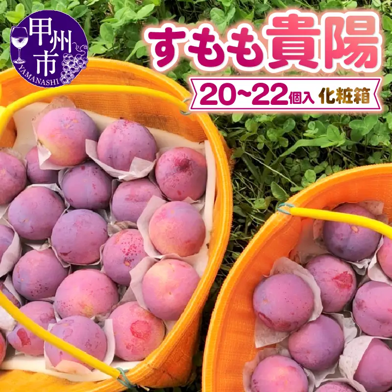 童夢のすもも「貴陽」化粧箱（20～22個）約2.2kg～約2.8kg【2026年発送】（DOM）B15-186 すもも フルーツ