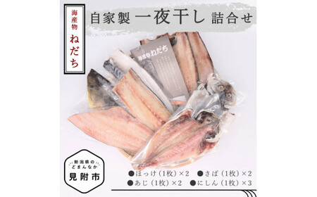 ねだち　自家製一夜干し詰合せ