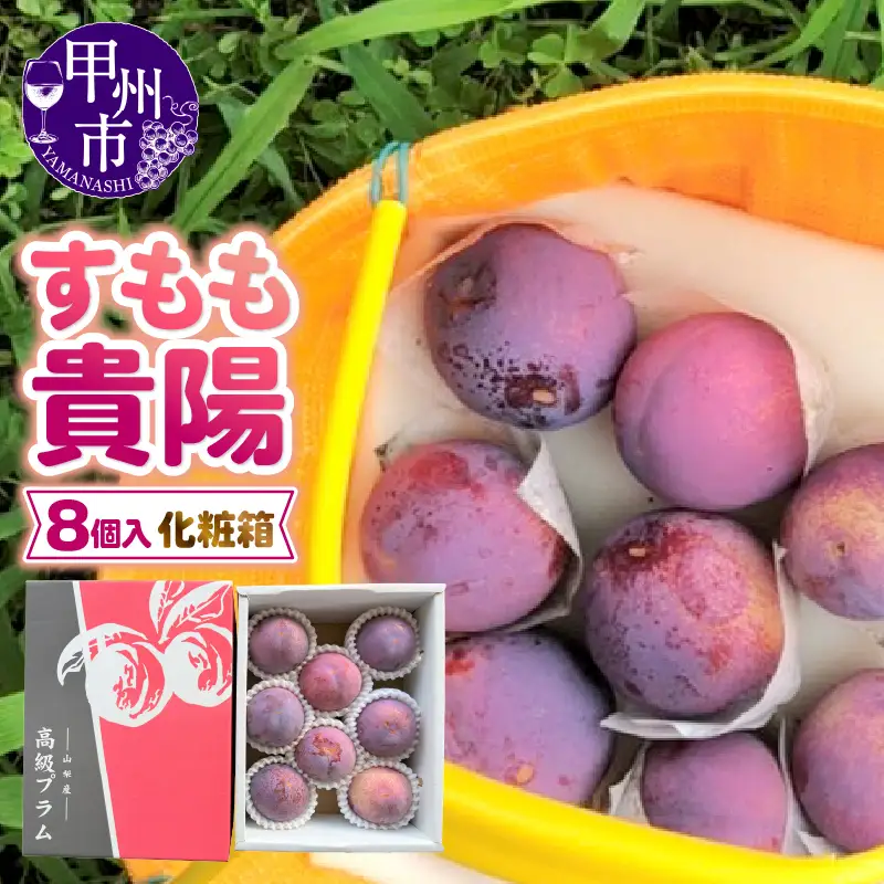 童夢のすもも「貴陽」化粧箱（8玉入り）約1.6kg～約1.9kg【2026年発送】（DOM）B12-142 すもも フルーツ
