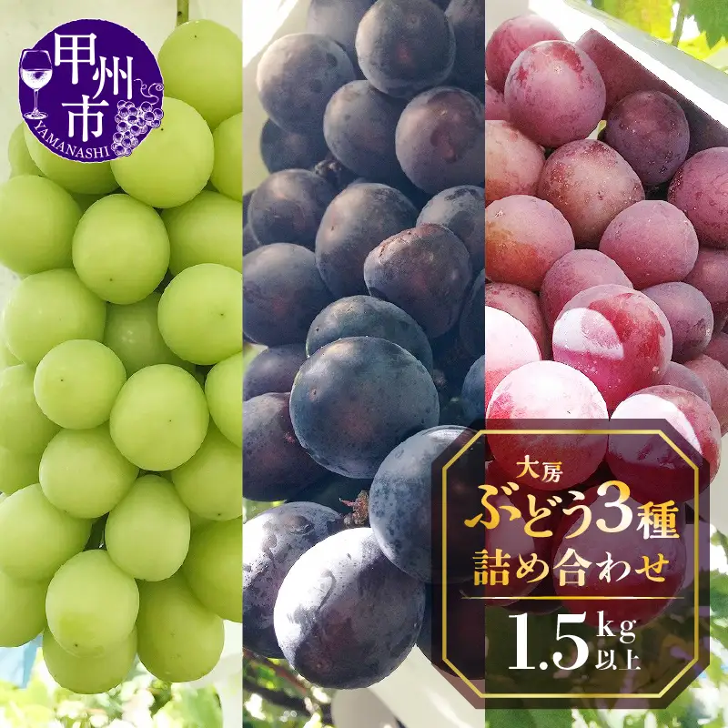甲州屋厳選 大房ぶどう3種詰め合わせ 1.5kg以上【2026年発送】B15-130 ぶどう フルーツ