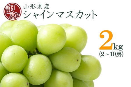 【2026年発送】山形のぶどう(ご家庭用訳ありシャインマスカット)約2kg（2～10房）_H196(R8)