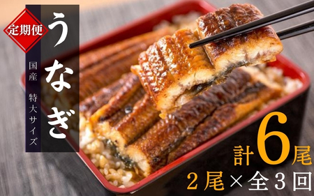 うなぎ 定期便 うなぎ 3回 国産【tkb309】