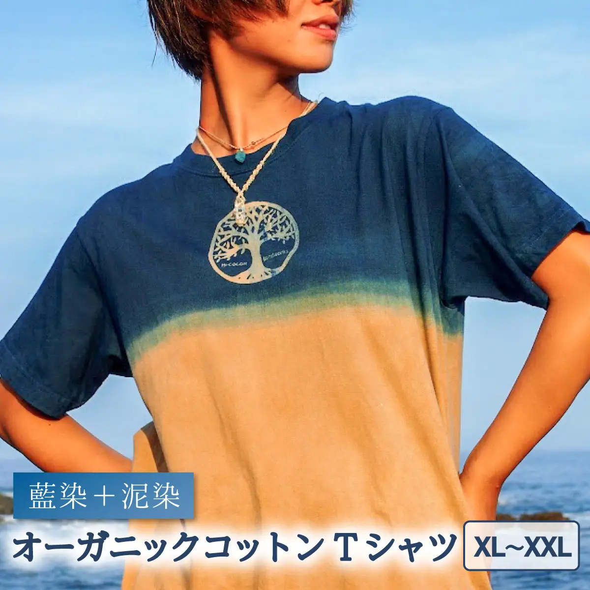 Tシャツ 藍染 泥染 XL/XXLサイズ オーガニックコットン 藍 藍染め 泥染め 宍喰祇園染 天然染料
