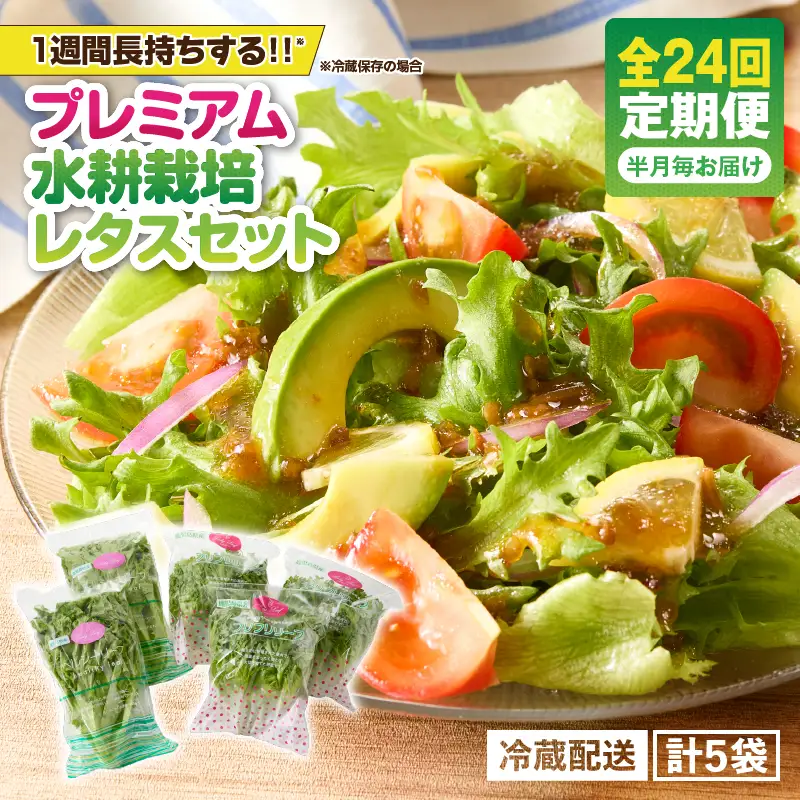 1629-2 【 全24回 定期便 】洗わずに食べられる プレミアム 水耕栽培 レタス セット（ 計5袋 ） KN064-T04 野菜