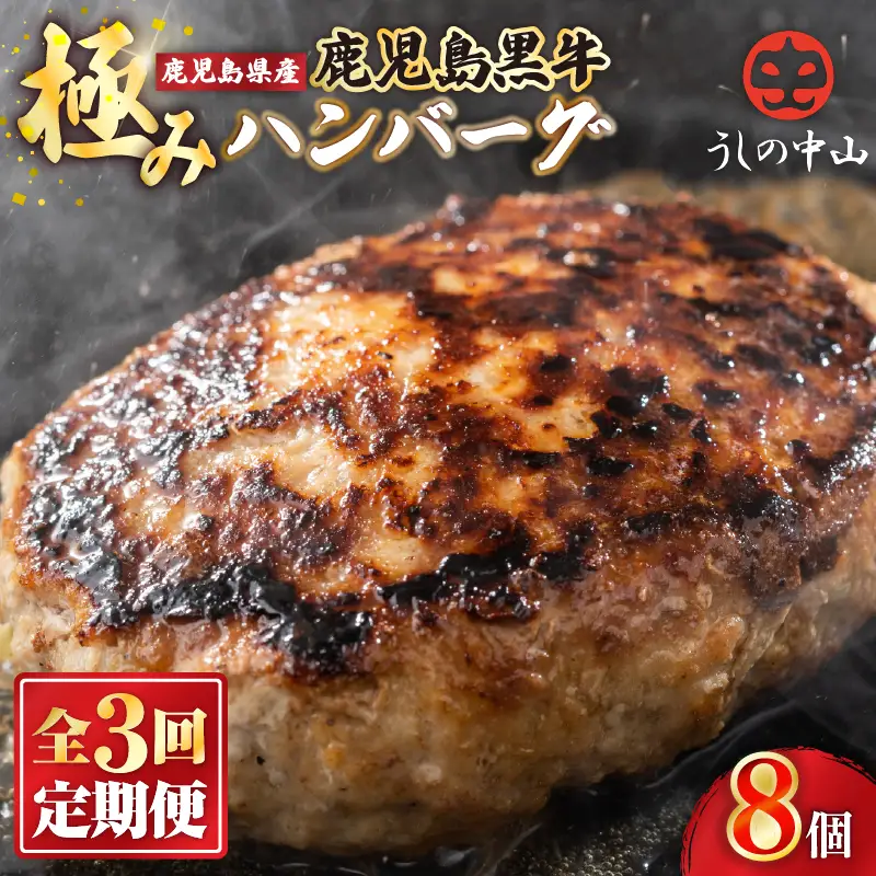 2231 【 定期3回 】 ハンバーグ （ 8個 ） 【 うしの中山 】 KN050-T01 肉 牛肉 冷凍 惣菜 総菜