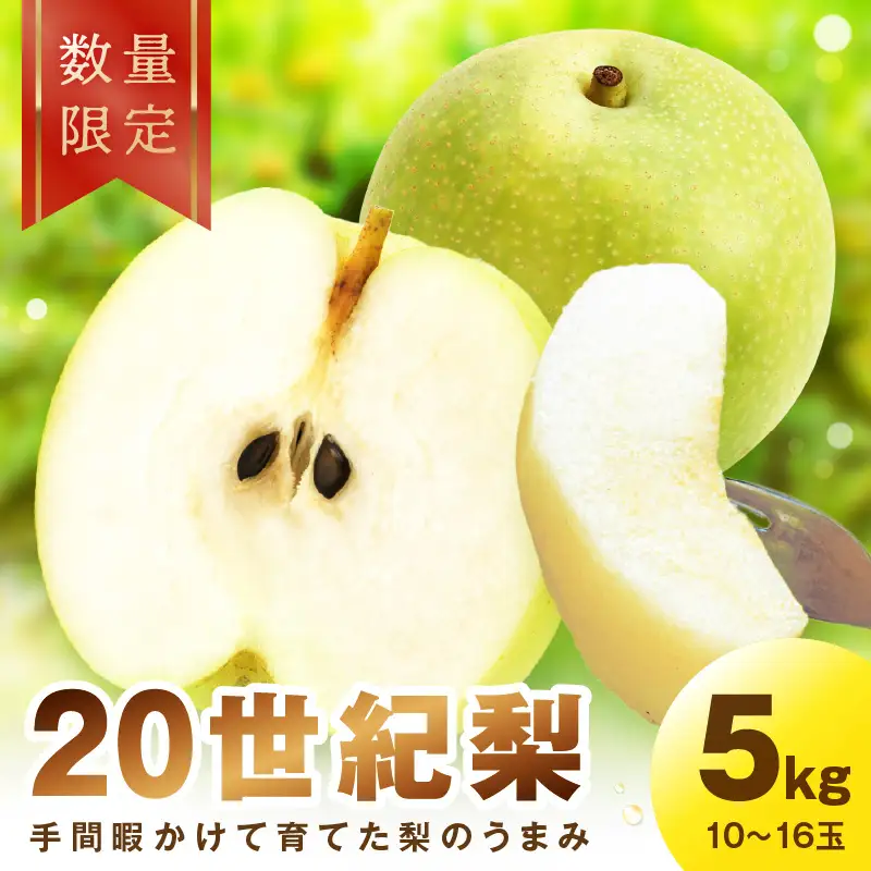 【先行予約／数量限定100】廿世紀梨　5kg（2026年9月上旬～発送） 果物 くだもの フルーツ ふるーつ 梨 なし ナシ 京都 京丹後 果樹園 農園直送