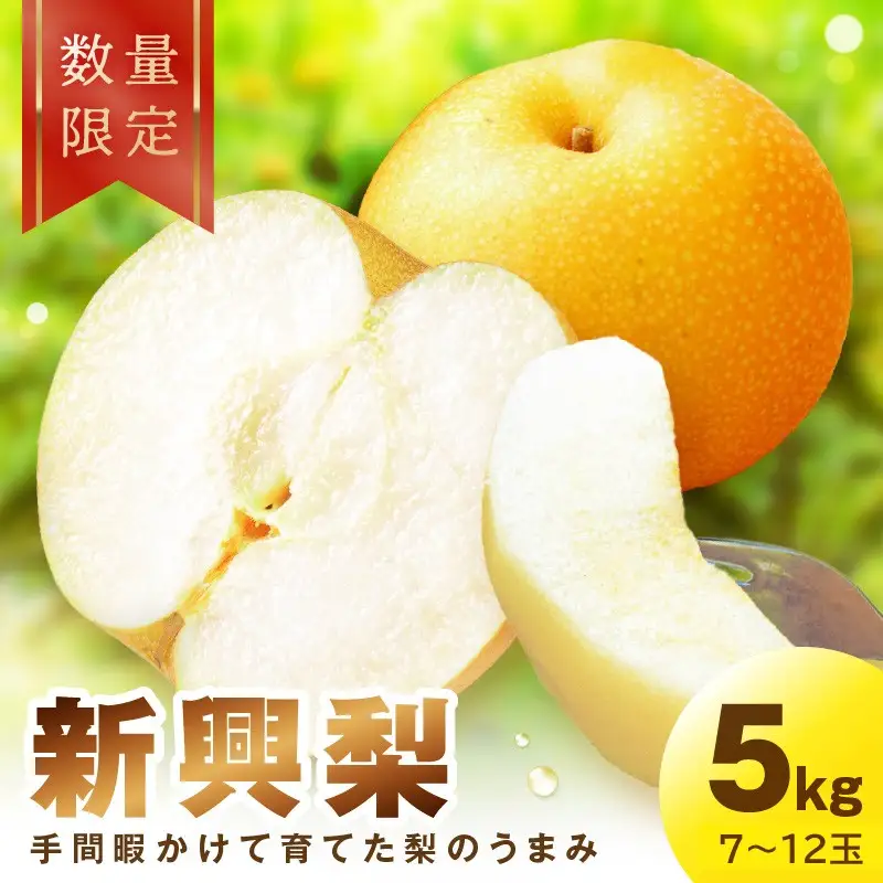 【先行予約／数量限定100】新興梨　5kg（2026年10月中旬～発送）