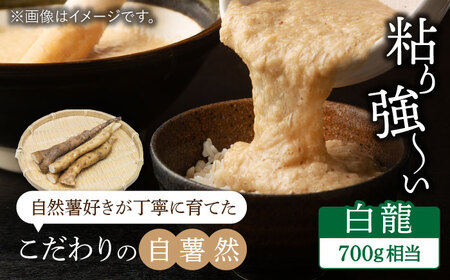 自然薯（白龍）700g相当【小川農園小川屋】疲労回復 免疫力向上 産地直送 とろろ 山芋 ギフト 健康食 滋養強壮 贈答 レシピ とろろご飯 山薬 山のうなぎ 送料無料[MAE011]