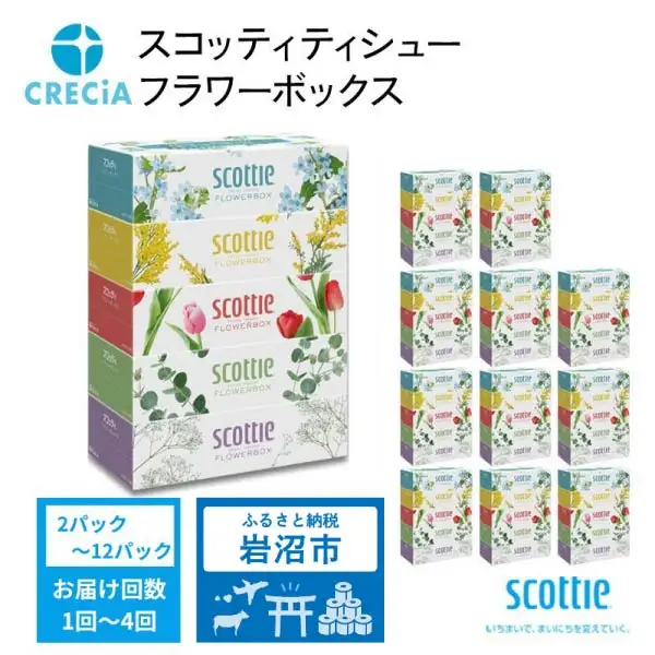 ボックスティッシュ スコッティ 60箱入 ティッシュペーパー