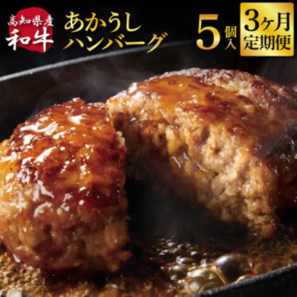 創業50年老舗レストランの幻の和牛あかうしハンバーグ130g×5ケ 3ヶ月定期便 土佐あかうし 美鮮豚 牛肉 高級 ハンバーグ 冷凍 美味しい 肉汁ハンバーグ 焼くだけ 小分け 個包装 高級 国産 定期便 定期コース