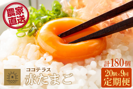【9ヵ月定期便】ココテラスの明日（赤たまご）15個 + 5個保証（計20個）【JGAP認証】 農家直送 新鮮 卵 タマゴ 赤卵 玉子 鶏卵 朝食 夕食 夜食 朝ごはん たまご焼き オムレツ 卵ご飯 料理 濃厚 飼料にこだわった 卵かけご飯 米たまご 生卵 大容量 お取り寄せ 愛知県 常滑市