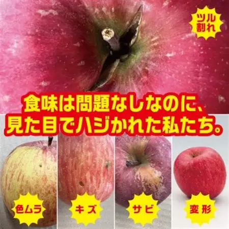 【R8年12月中旬～発送予定】訳あり 青森県産りんご「サンふじ」 約5kg(12～25個)_果物・フルーツ りんご  リンゴ 林檎_【配送不可地域：離島・沖縄県】【1467242】