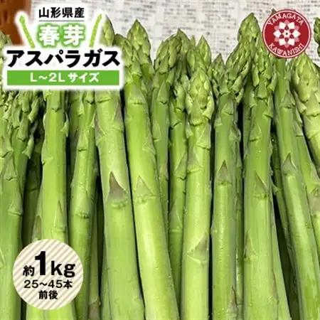 【令和8年産】先行受付!春芽アスパラガス約1kg(L～2Lサイズ 25～45本前後)_野菜 アスパラガス  _【配送不可地域：離島・北海道・沖縄県・信越、北陸・東海・近畿・中国・四国・九州】【1470202】