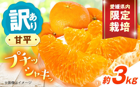 みかん 訳あり 甘平 サイズ不揃い 約3kg フルーツ 果物 みかん 訳あり BJAZ005