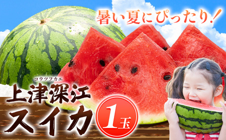 【先行予約】上津深江すいか 1玉 スイカ