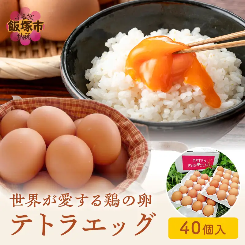 テトラエッグ40個入【A5-459】