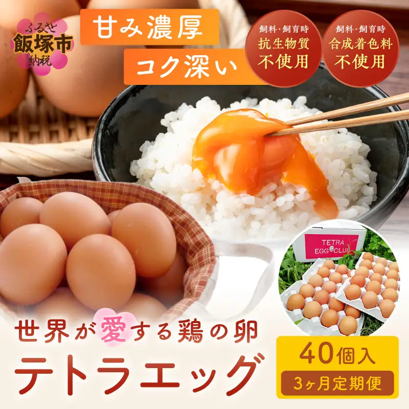テトラエッグ(40個/月)【3ヵ月定期便】【C5-031】