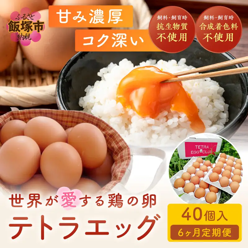 テトラエッグ(40個/月)【6ヵ月定期便】【F8-004】