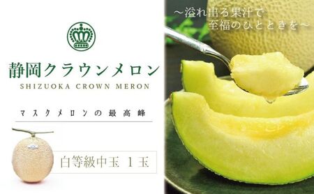 クラウンメロン 白中玉 1玉【配送不可：離島】 マスクメロン フルーツ 果物 
