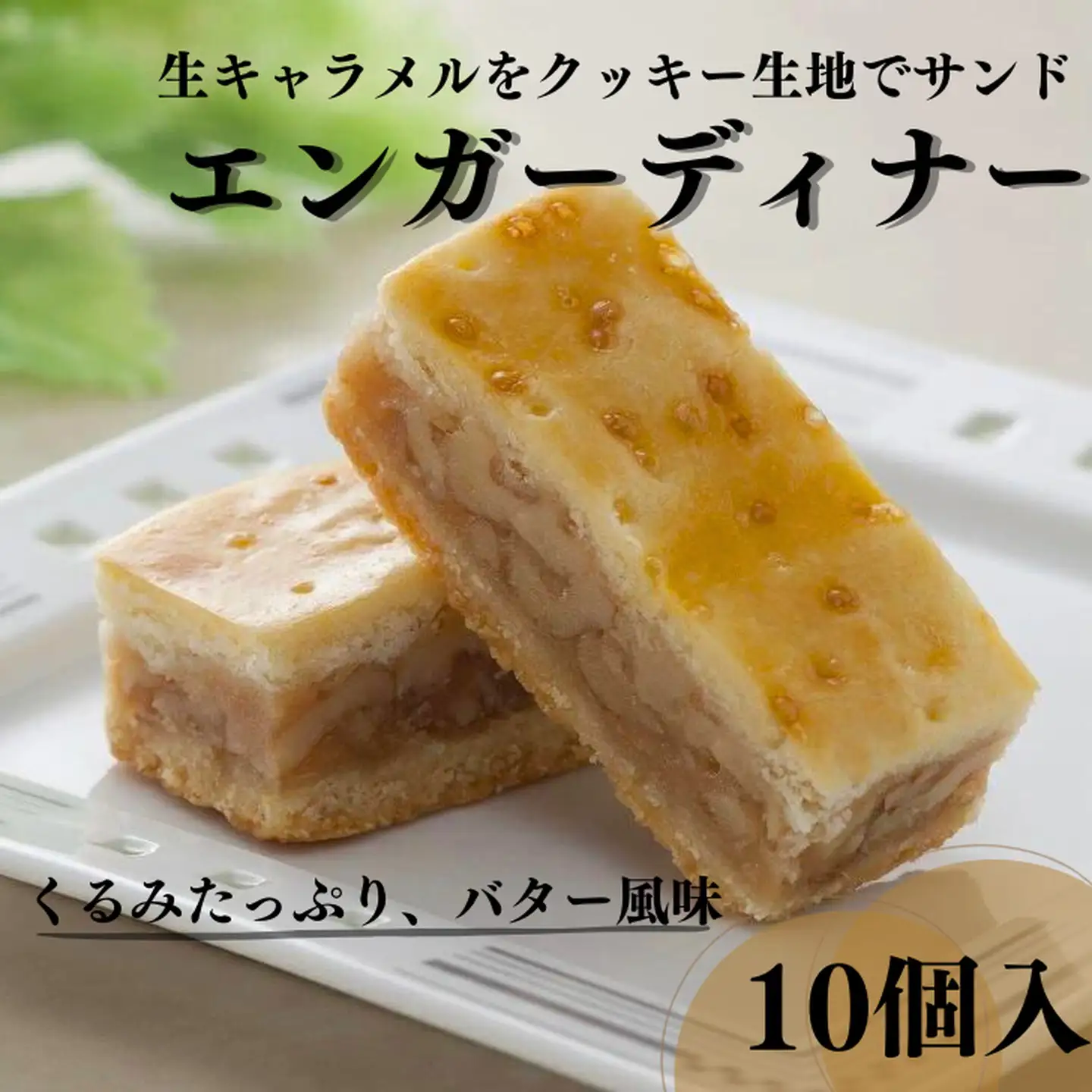 ハルツのエンガーディナー：B120-025